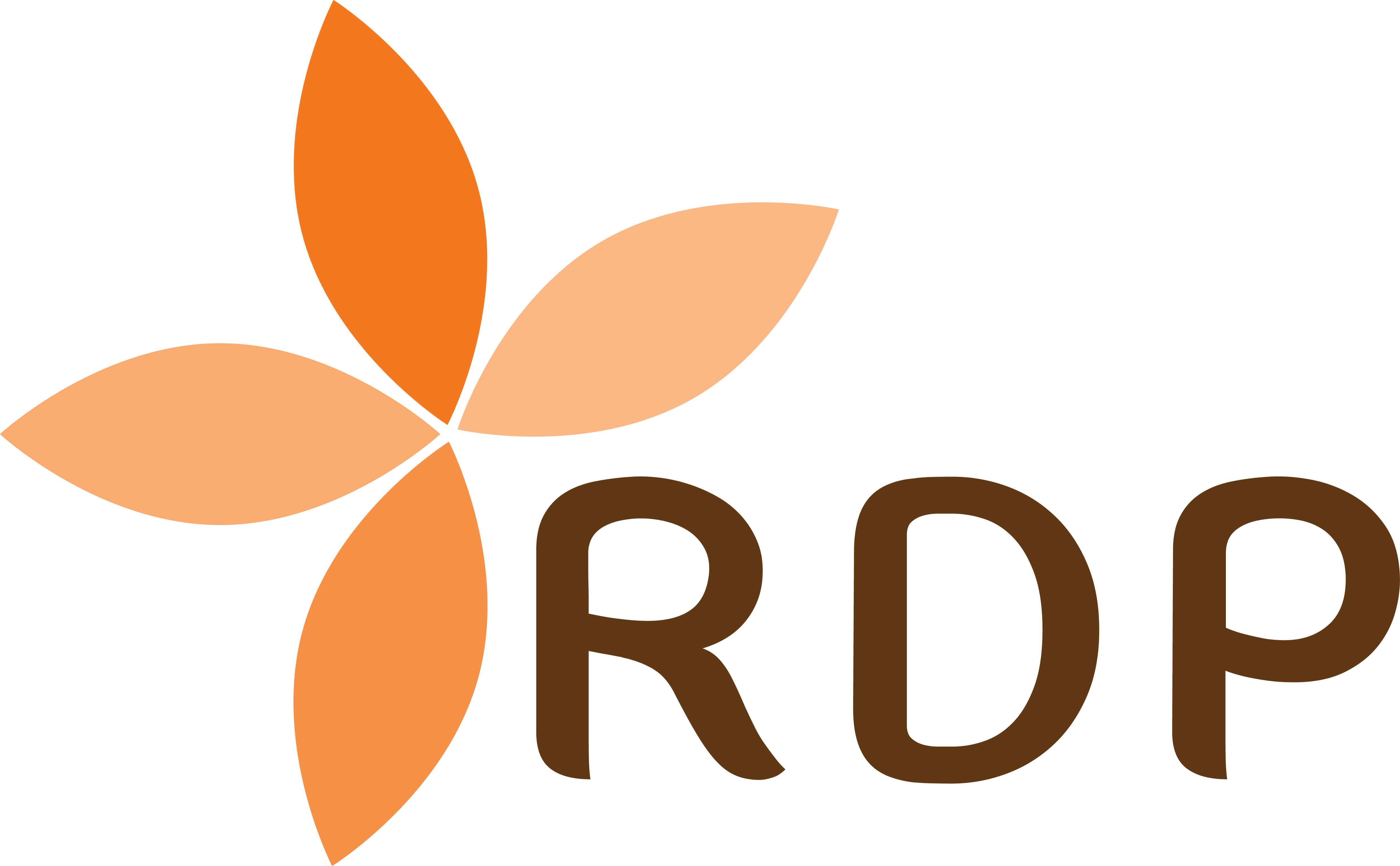 Logo PT Raya Duta Prakarsa